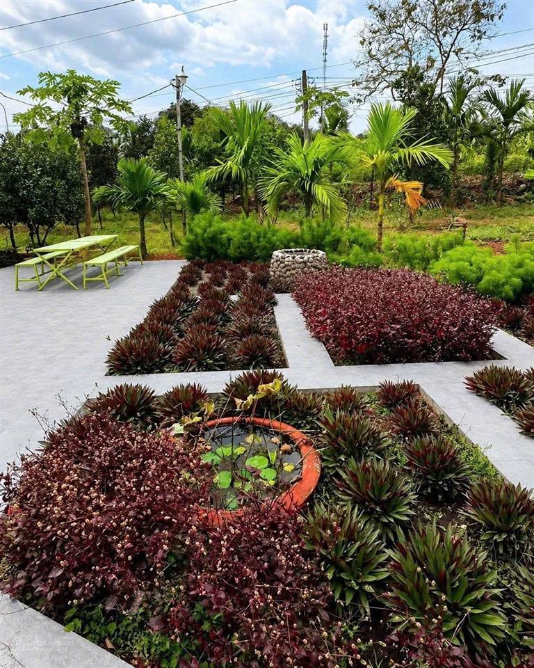Chỉ 500 triệu đất vườn có sẵn nhà chơn thành. cách kcn becamex chỉ 800m, sổ hồng sẵn