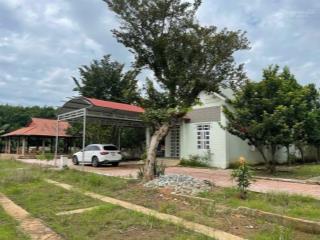 Chỉ 520 triệu đất vườn có sẵn nhà chơn thành. cách kcn becamex chỉ 800m, sổ hồng sẵn