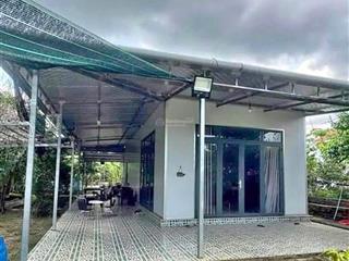 Bán lô đất + nhà cấp 4 ngay bàu bàng. cách chợ trừ văn thố vào 2km. đường lớn, sổ hồng riêng