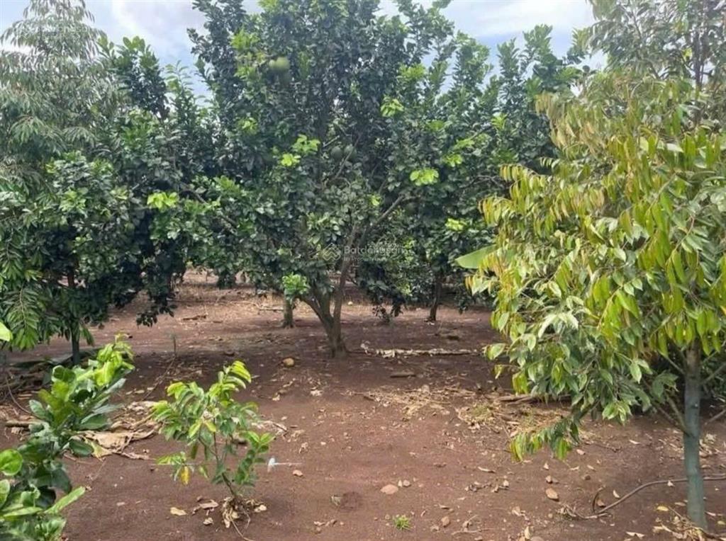 Nơi giải toả căng thẳng mỗi cuối tuần  giá chỉ 1 tỷ 150tr  ngay trừ văn thố, bầu bàng, bình dương