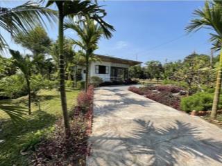 Bỏ ra 580 triệu đất rộng có sẵn nhà phường chơn thành. cách kcn becamex chỉ 1km, sổ hồng sẵn