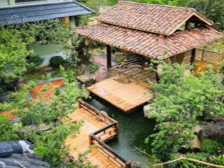Bán homestay mộc châu sơn la  về chỉ việc vận hành, khu vực du lịch giá tăng từng ngày giá 24.5 tỷ