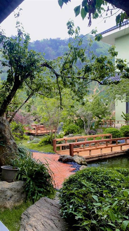 Bán homestay mộc châu sơn la  về chỉ việc vận hành, khu vực du lịch giá tăng từng ngày giá 24.5 tỷ