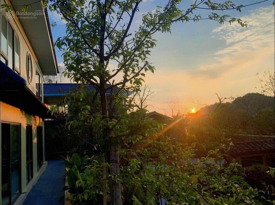 Bán homestay mộc châu sơn la  về chỉ việc vận hành, khu vực du lịch giá tăng từng ngày giá 24.5 tỷ