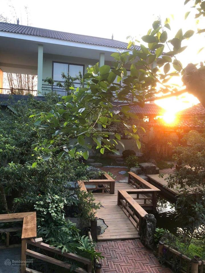 Bán homestay mộc châu sơn la  về chỉ việc vận hành, khu vực du lịch giá tăng từng ngày giá 24.5 tỷ