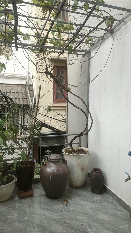 Bán nhà riêng ngõ 464/1 số 2a âu cơ full nội thất, 3 tầng, giá chỉ 6,3 tỷ