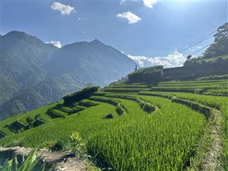 2 tỷ 350m2 đất mặt tỉnh lộ 152, xã tả van