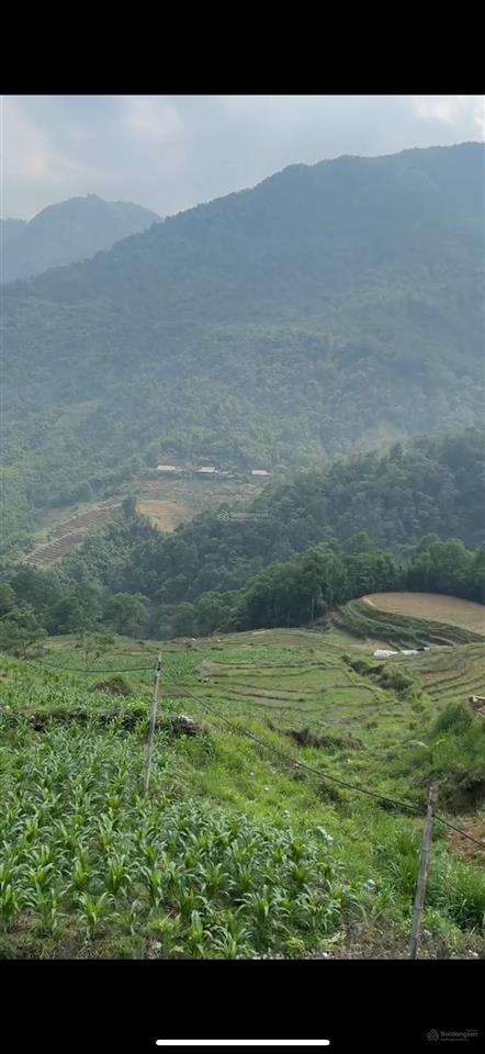 2000m2 tmdv, xã mường hoa, 14 tỷ