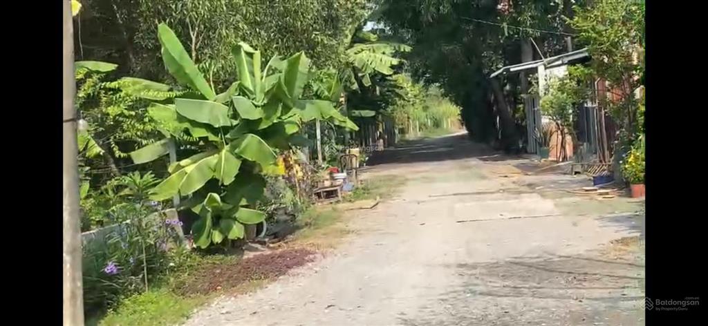 Bán đất tại xã tân hiệp, 210 tỷ, 8077 m2, hóc môn, hcm