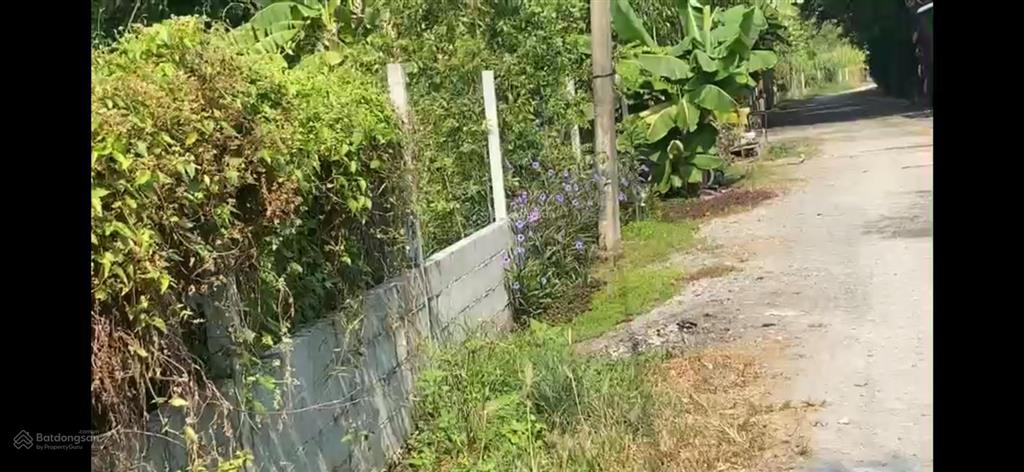 Bán đất tại xã tân hiệp, 210 tỷ, 8077 m2, hóc môn, hcm