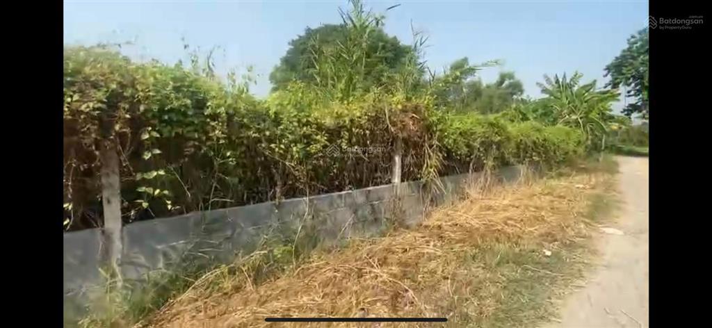 Bán đất tại xã tân hiệp, 210 tỷ, 8077 m2, hóc môn, hcm