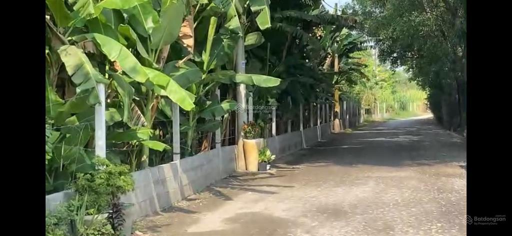 Bán đất tại xã tân hiệp, 210 tỷ, 8077 m2, hóc môn, hcm