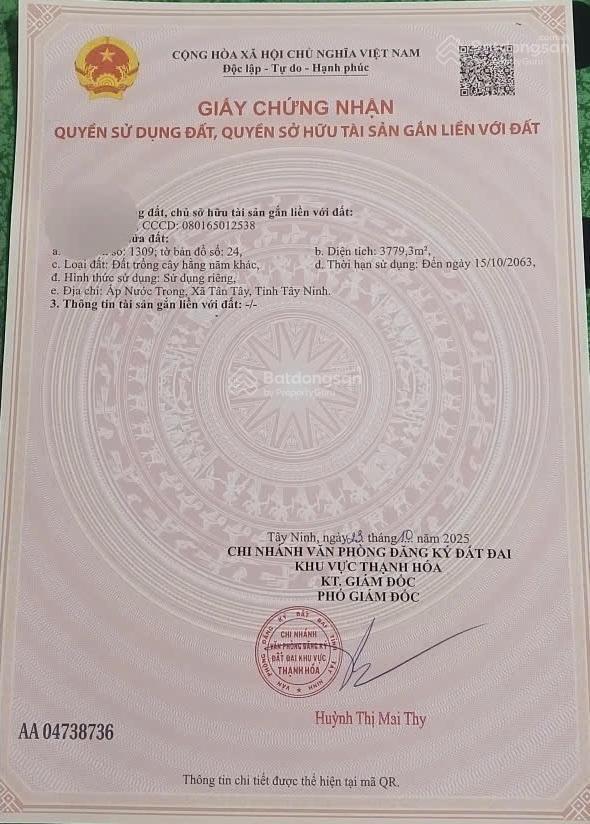 Bán đất nhựa nhánh quốc lộ 62, thủy đông, thạnh hóa, long an, 19,6 tỷ, 12253,1m2