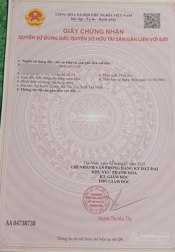 Bán đất nhựa nhánh quốc lộ 62, thủy đông, thạnh hóa, long an, 19,6 tỷ, 12253,1m2