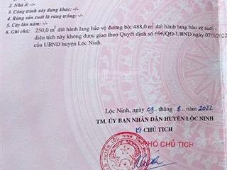 Bán đất đường nhựa tại ấp việt quang, lộc quang, lộc ninh, bình phước, 6,5 tỷ, 11013 m2