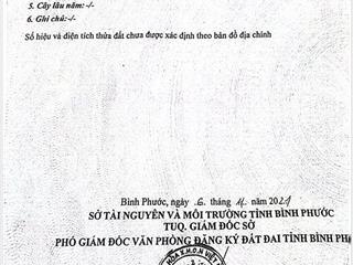 Bán đất tại ấp 10 mẫu xã phước thiện, huyện bù đốp, bình phước, 3,5 tỷ, 5000 m2