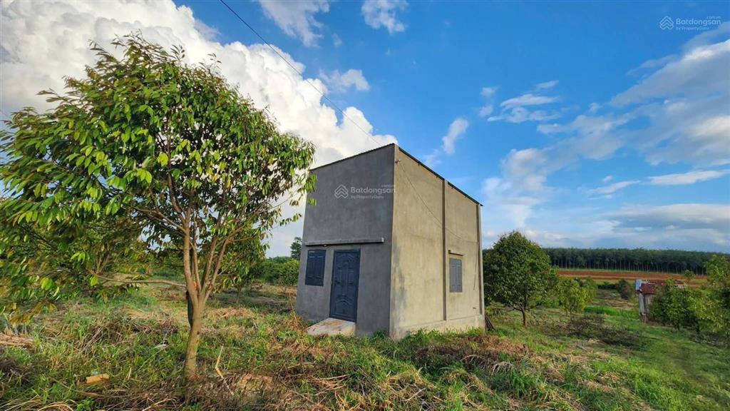 Bán đất tại xã phước thiện, bù đốp, nay là hưng phước, đồng nai, giá tốt 8,1 tỷ, 9100 m2 có 100tc