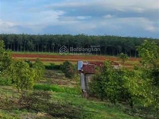 Bán đất tại xã phước thiện, huyện bù đốp, bình phước, giá tốt 8,1 tỷ, 9100 m2 có 100tc