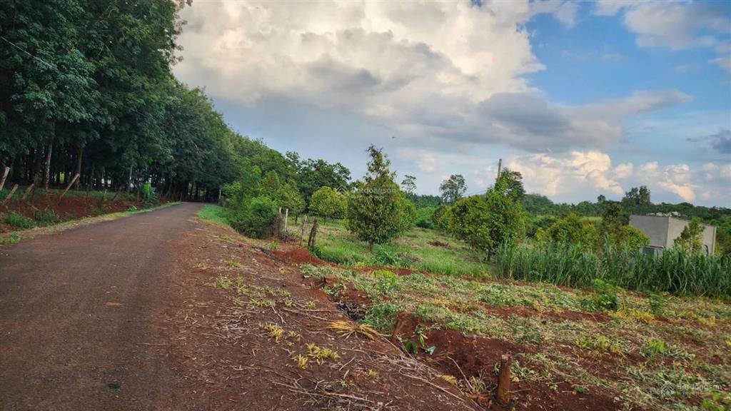 Bán đất tại xã phước thiện, bù đốp, nay là hưng phước, đồng nai, giá tốt 8,1 tỷ, 9100 m2 có 100tc