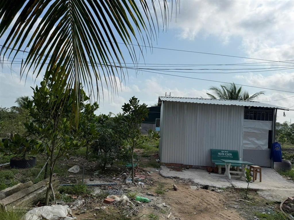 Bán đất tại mỹ hội, huyện cao lãnh, đồng tháp, 11,6 tỷ, 1528 m2 chính chủ giá cực chất