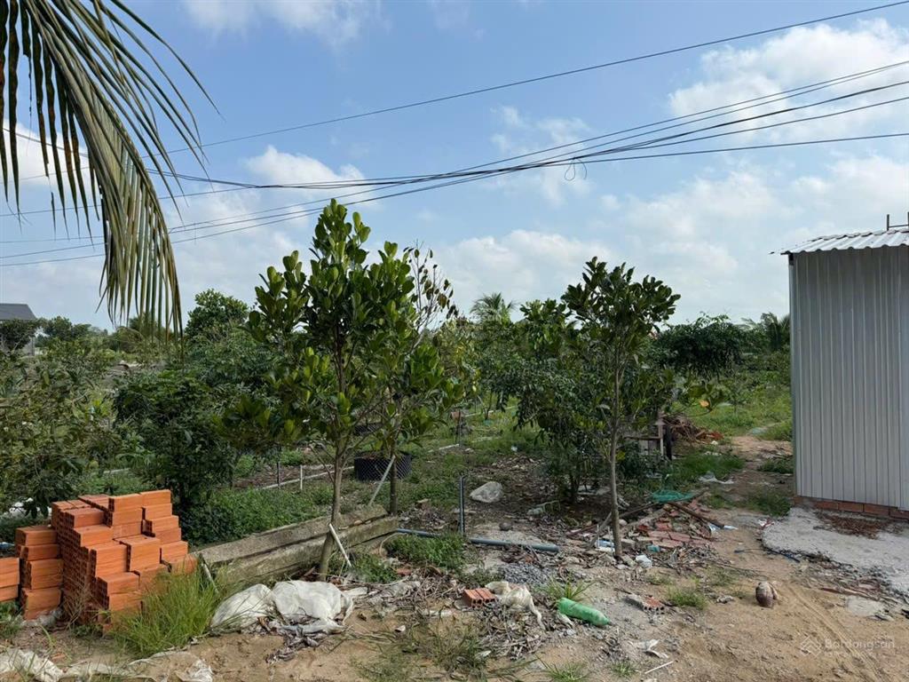 Bán đất tại mỹ hội, huyện cao lãnh, đồng tháp, 11,6 tỷ, 1528 m2 chính chủ giá cực chất