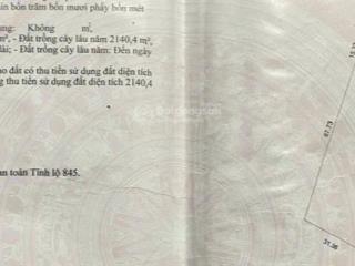 Bán đất tại mỹ hòa, 9 tỷ, 2440 m2, hàng hiếm tại đồng tháp