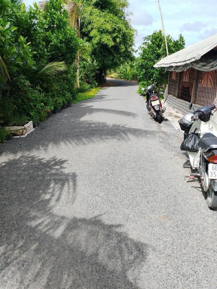 Bán đất tại đường nhánh tỉnh lộ 863, cái bè, tiền giang, 45 tỷ, 23800 m2