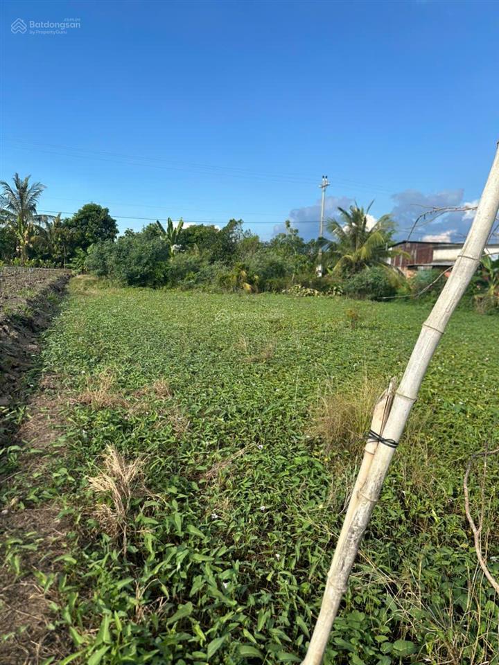 Bán gấp đất tại xã mỹ hòa, 4,8 tỷ, 949m2, phong thủy tốt