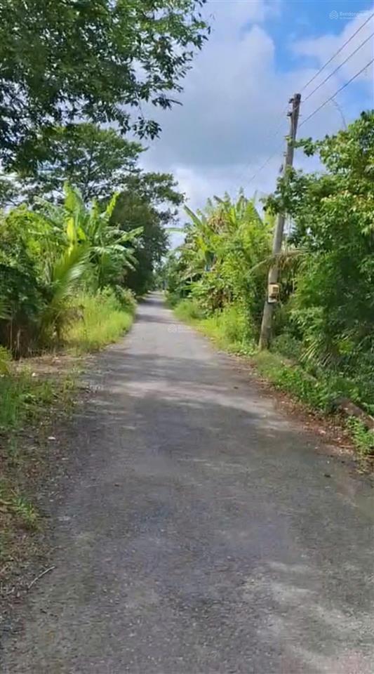 Bán đất tại xã mỹ hòa, tháp mười, đồng tháp, 16 tỷ, 3053.5 m2