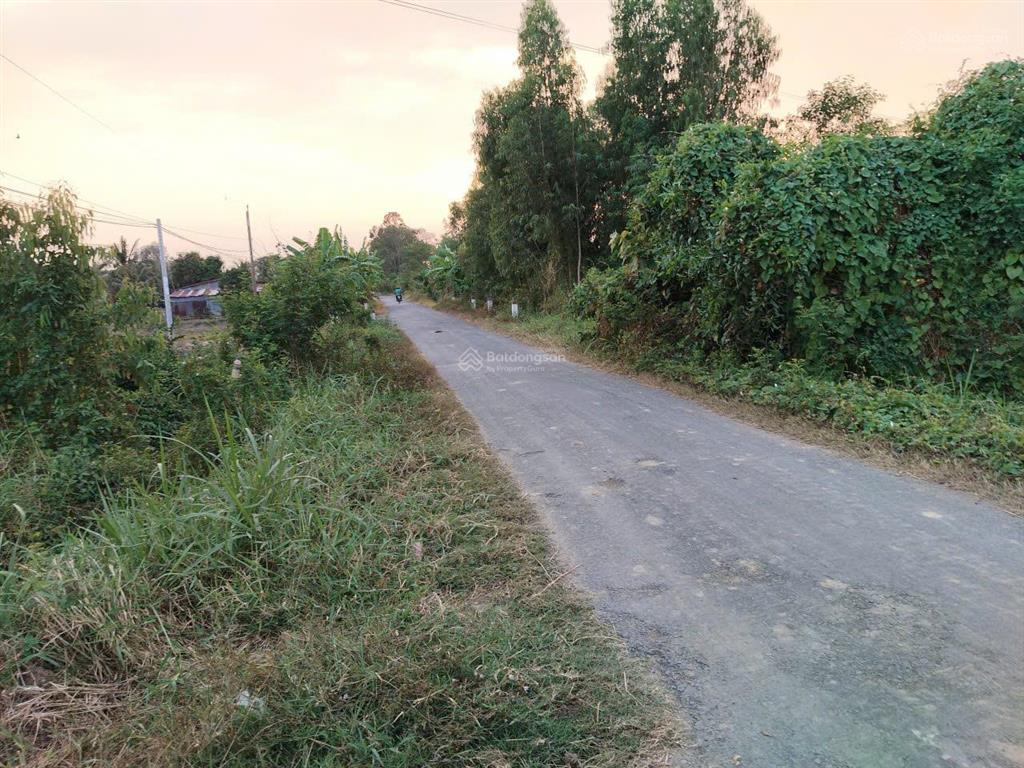 Bán đất tại tân thành, mộc hóa (ấp mương khai, mộc hóa, tây ninh)