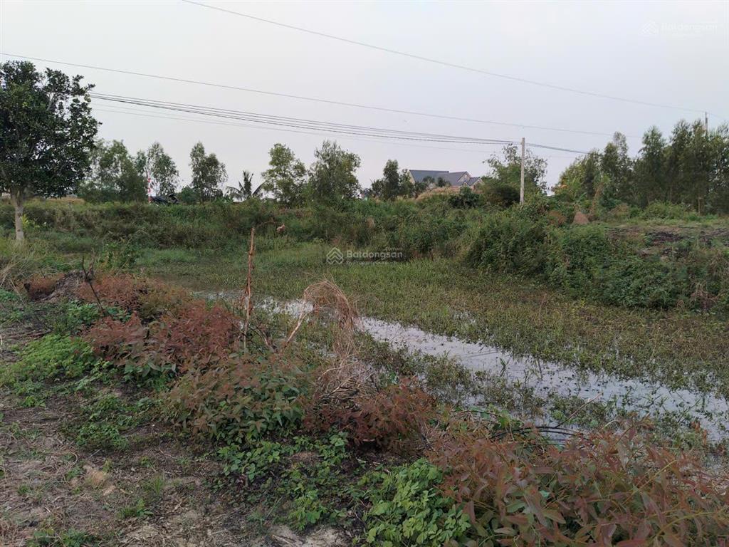 Bán đất tại tân thành, mộc hóa (ấp mương khai, mộc hóa, tây ninh)