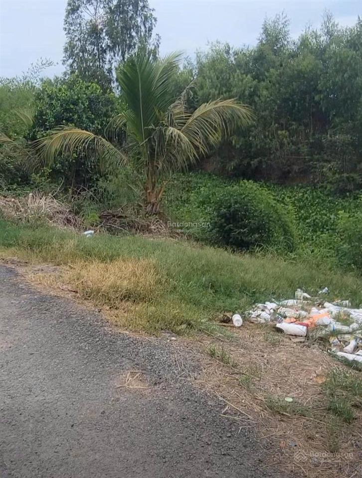 Bán đất tại ấp mương khai, xã mộc hóa, 16 tỷ, 11000m2