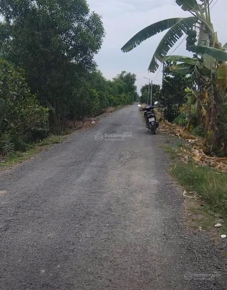 Bán đất tại ấp mương khai, xã mộc hóa, 16 tỷ, 11000m2