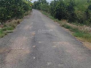 Bán đất tại ấp mương khai, xã mộc hóa, 16 tỷ, 11000 m2