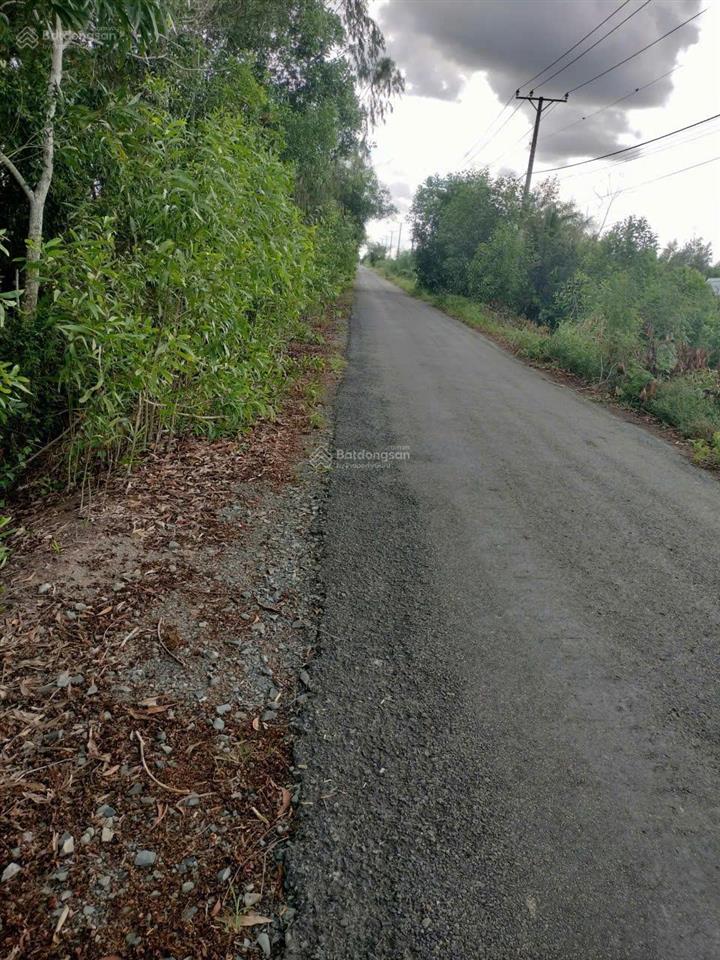 Bán đất tại xã thủy đông, huyện thạnh hóa, long an, giá cực chất 21 tỷ, 24731 m2