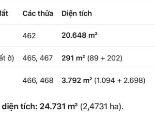 Bán đất tại xã thủy đông, huyện thạnh hóa, long an, giá cực chất 21 tỷ, 24731 m2