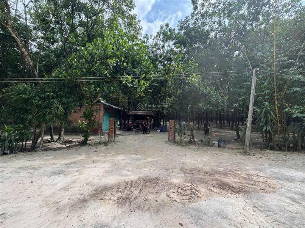 Bán đất tại xã tân hòa, 90 tỷ, 10ha làm trang trại