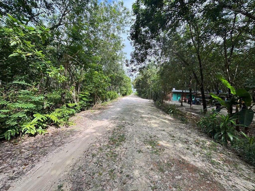 Bán đất tại xã tân hòa, 90 tỷ, 10ha làm trang trại