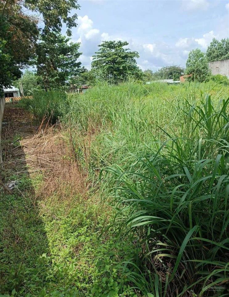 Bán đất tại xã tân hòa, 4,3 tỷ, 1508,5 m2 giá tốt hàng hiếm