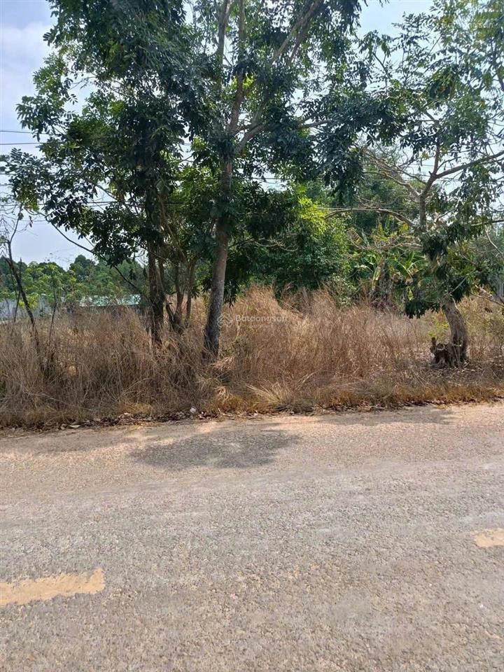 Bán đất mặt tiền dh thanh niên, tân hòa, tân châu, 1 tỷ, 718,8 m2, chính chủ