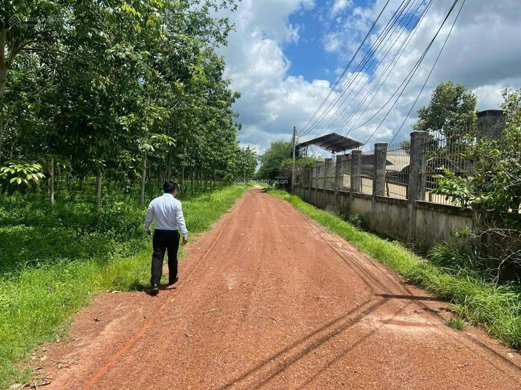Bán kho, nhà xưởng tại tân hòa, tân châu, tây ninh, giá ưu đãi 90 tỷ, 68850 m2