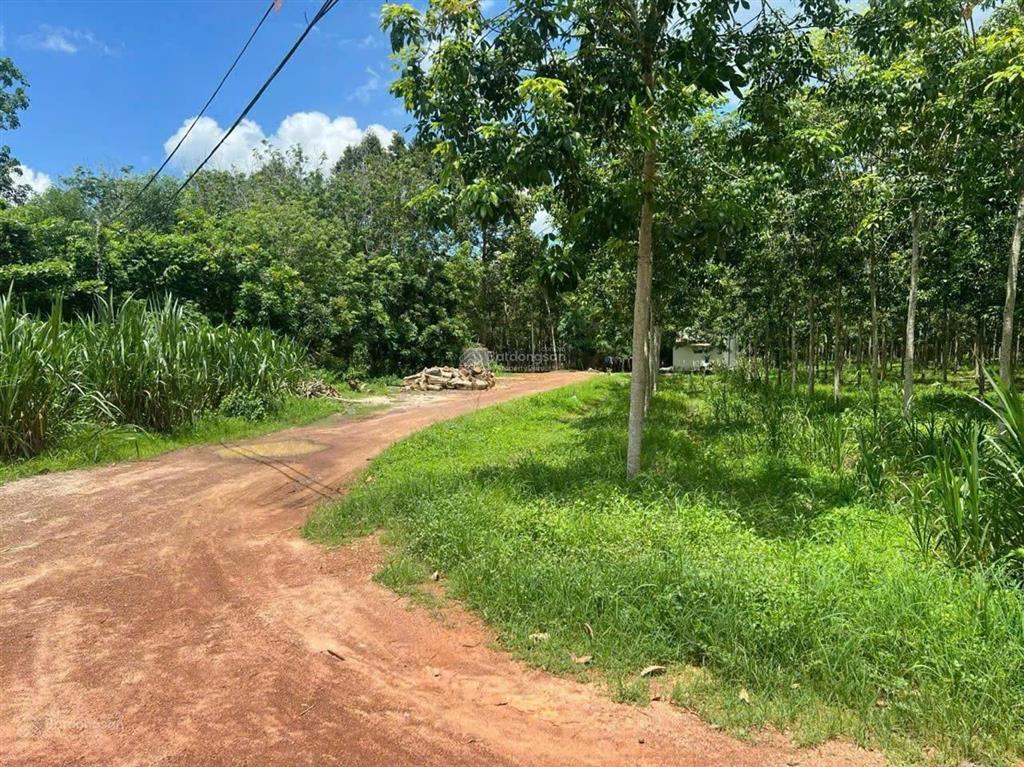 Bán kho, nhà xưởng tại tân hòa, tân châu, tây ninh, giá ưu đãi 90 tỷ, 68850 m2