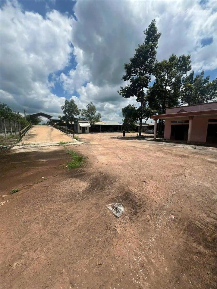 Bán kho, nhà xưởng tại tân hòa, tân châu, tây ninh, giá ưu đãi 90 tỷ, 68850 m2