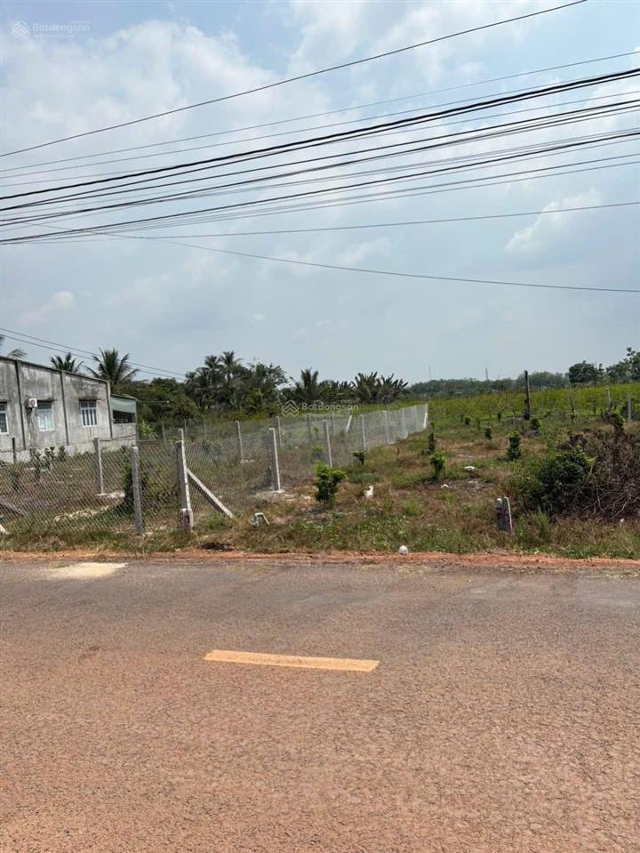 Bán kho, nhà xưởng tại xã tân hòa, huyện tân châu, tây ninh, 76 tỷ, 59811.4 m2, giá ưu đãi