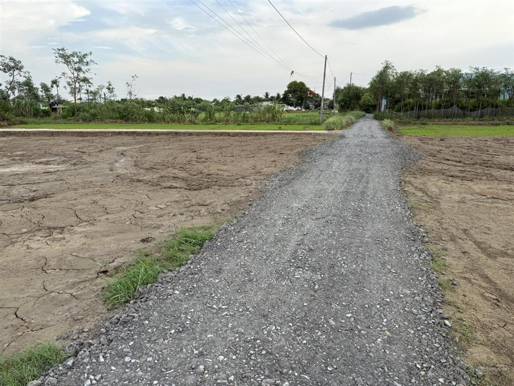 Bán đất tại tân tây, gò công đông, tiền giang, 400 triệu vnd, 210 m2 có 100tc, chính chủ hot!