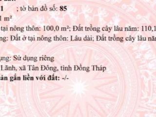 Bán đất tại tân tây, gò công đông, tiền giang, 400 triệu vnd, 210 m2 có 100tc, chính chủ hot!