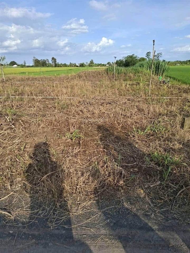 Bán đất tại xã tân tây, huyện gò công đông, tiền giang, giá cực chất 550 triệu, 224,3m2 hot!