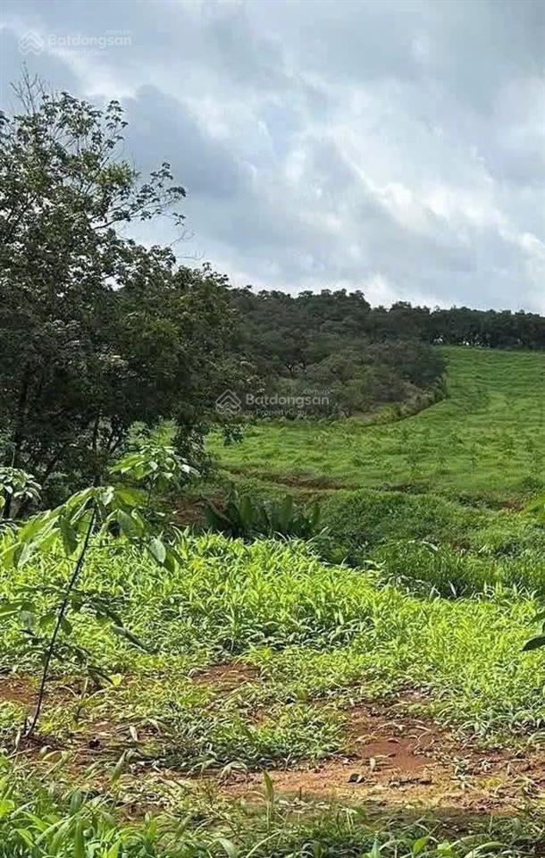 Bán đất sào đt 755b (sao bọng  đăng hà), thống nhất, bù đăng
