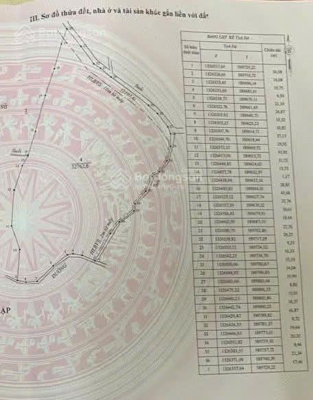 Chủ cần bán 3,2 ha cao su 4 năm tuổi đt 755b (sao bọng  đăng hà)
