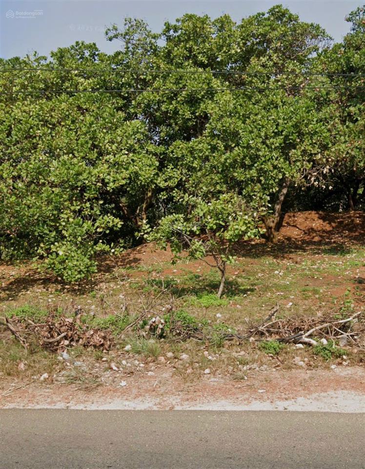 Bán đất tại đt 755b, thống nhất, bù đăng, bình phước, 5,6 tỷ, 4002 m2